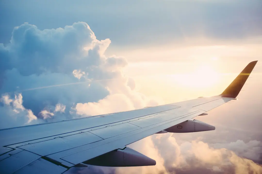 Travel Services