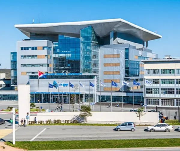 Far Eastern Federal University photo 4