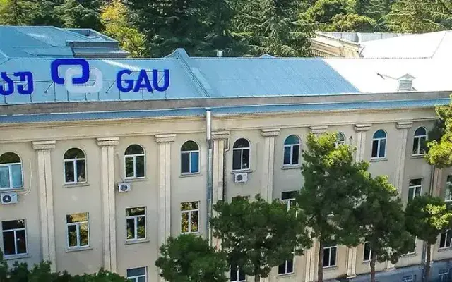 Georgian American University banner