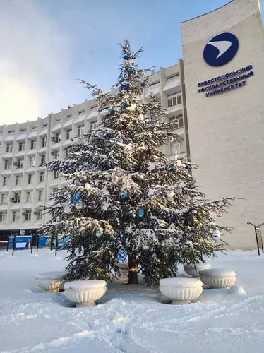 Sevastopol State University photo 6